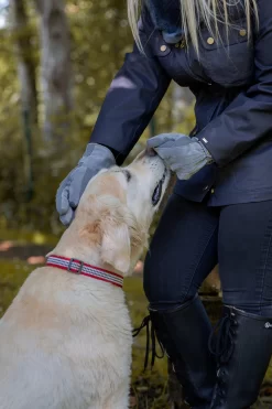 Women's Three-Point Fleece-Lined Suede Gloves -Fashion Accessories Shop 16.7 1171Charcoal 4 2634Blue scaled