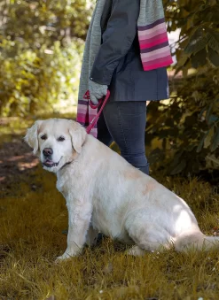 Women’s Knitted Gloves With Neon Striped Cuffs 7 Women’s Knitted Gloves With Neon Striped Cuffs -Fashion Accessories Shop 4 2849 Dove Grey f8f86457 80f0 4fc7 85b5 f9891b1fd5ae