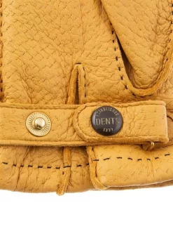 Men's Heritage Handsewn Vicuña-Lined Peccary Leather Gloves -Fashion Accessories Shop 4c14d7079f1ee5f6c40bb1b45589b1a5.w.1500.q.100 0b71336f 52d8 44e4 b34f 542efbee26d5