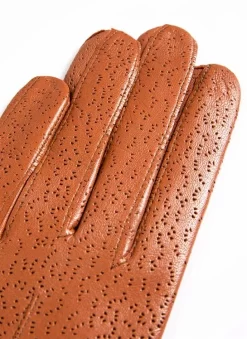 Women's Three-Point Lined Imitation Peccary Leather Gloves -Fashion Accessories Shop 7 1109 20cognac 205