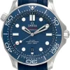 OMEGA Seamaster 42MM Auto Blue Dial Men's Watch 210.32.42.20.03.001
