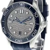 OMEGA Seamaster 42MM Gray Dial Rubber Men's Watch 210.32.42.20.06.001