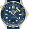 OMEGA Seamaster Diver 300M Co-Axial Master Men's Watch 210.22.42.20.03.001