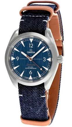 OMEGA Seamaster RailMaster Co-Axial 40MM Men's Watch 220.12.40.20.03.001
