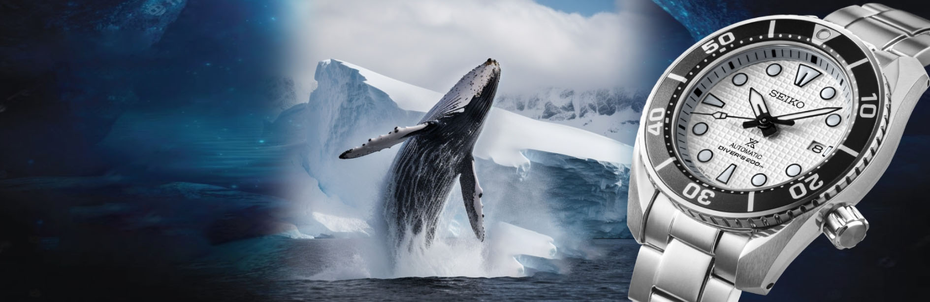 Fashion Accessories Shop -Fashion Accessories Shop tgjfj